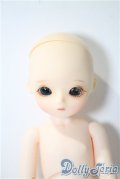 Bluefairy/PF:YOKO　sugarbody A-25-03-26-1096-TN-ZU