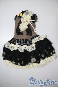 SDM＆MSD/OF:ワンピース U-25-03-25-122-TN-ZU