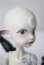 画像3: DOLL CHATEAU/Pluto A-25-03-26-1100-KD-ZU