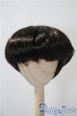 9-10inch/ウィッグ U-25-04-01-148-TN-ZU
