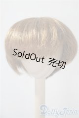 9-10inch/ウィッグ U-25-04-01-147-TN-ZU