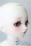 画像3: SDM女の子 /ここ　coco 10周年記念Ver. U-25-03-25-219-TN-ZU