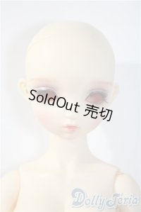 BAMBI　CRONY/[BZ]Eucaly Basic A-25-04-09-1048-TN-ZU