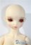 画像1: BAMBI　CRONY/[BZ]Eucaly Basic A-25-04-09-1048-TN-ZU (1)