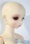 画像2: BAMBI　CRONY/[BZ]Eucaly Basic A-25-04-09-1048-TN-ZU (2)