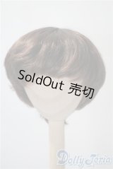 8-9inch/ウィッグ U-25-04-01-161-TN-ZU