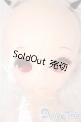 PARABOX/乙姫ドール A-25-04-02-1039-TN-ZU