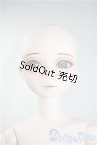 PARABOX/47グレーテルヘッド+50cm男ボディ A-25-04-02-1055-KD-ZU