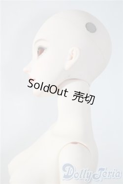 画像4: Ringdoll/Alice 03 Fullset  A-25-04-09-1043-TN-ZU