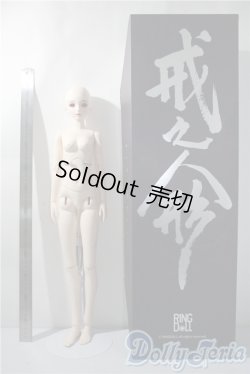 画像6: Ringdoll/Alice 03 Fullset  A-25-04-09-1043-TN-ZU