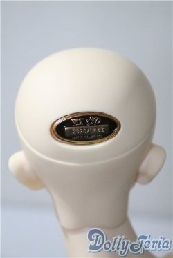 画像6: SD17BOY/ウィリアムズ:Commodore ver. U-25-04-01-218-TN-ZU