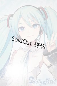 DD/初音ミク NT A-25-04-09-1031-TN-ZU