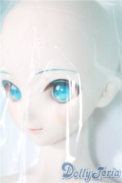 画像3: DD/初音ミク NT A-25-04-09-1031-TN-ZU