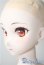 画像4: Dddy/ ヨル・フォージャー：SPY FAMILY A-25-04-09-1033-TN-ZU (4)