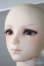 画像3: SDGr男の子/フルチョイスF-71 U-25-04-15-219-TN-ZU