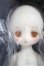 画像2: TinyFox×適当緑/猫耳量産型女子・白猫/BJD　球体関節人形 A-25-04-16-301-TN-ZA (2)