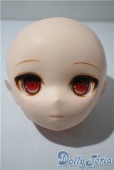 PARABOX/乙姫:風花 A-25-04-23-1051-TN-ZU