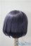 画像2: 8.8inch/ウィッグ　DOLK　セレクト U-25-04-15-085-KD-ZU (2)