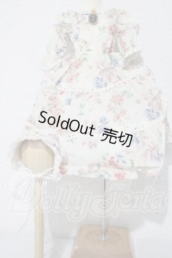 画像1: SDM＆MSD/OF:衣装セット U-26-03-04-112-TN-ZU