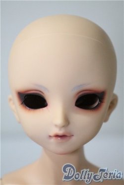 画像1: SDM/F-40　フルチョイス U-25-04-29-218-TN-ZU