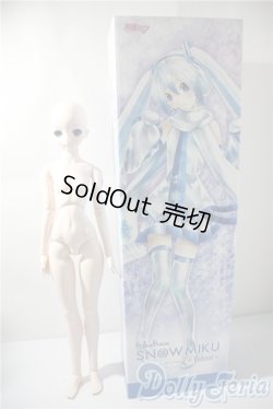 画像5: DD/雪ミク Reboot I-25-04-30-1096-KD-ZI