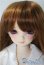 画像1: SDMGIRL/ひな:スタンダードモデル U-25-04-22-219-TN-ZU (1)