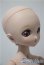 画像2: MDD/Ｄ'COORD：DDH-18 A-25-04-30-1093-TN-ZU (2)