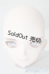 DDH-29/カスタムヘッドFANTASTIC　WORLD様 A-25-04-30-1007-TN-ZU