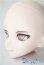 画像3: DDH-29/カスタムヘッドFANTASTIC　WORLD様 A-25-04-30-1007-TN-ZU (3)