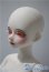 画像3: 【DOLK×MELODY.C×MYOU DOLL】白猫Zuzana ver. Limited - Special Collaboration Edition A-25-04-30-1049-KD-ZU (3)