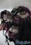 画像1: SDGrG/OF:衣装セット U-25-05-06-113-TN-ZU (1)