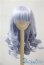 画像1: 9-10inch/ウィッグ：BJD　CROBI U-25-05-06-009-KD-ZU (1)