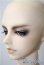 画像5: SDGr/伊達政宗 U-25-04-29-215-TN-ZU