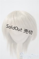 8-9inch/ウィッグ　VOLKS U-25-05-06-032-KD-ZU