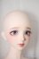 画像6: 【DOLK×RING DOLL】Alice01 My Sister ver. Limited  A-25-05-07-1100-KD-ZU
