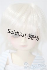 幼SD/たんぽぽ　1st U-25-05-06-213-KD-ZU