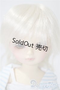 幼SD/たんぽぽ　1st U-25-05-06-213-KD-ZU