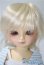 画像1: 幼SD/たんぽぽ　1st U-25-05-06-213-KD-ZU (1)