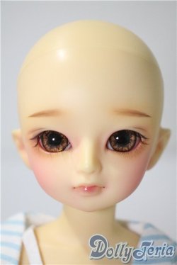 画像2: 幼SD/たんぽぽ　1st U-25-05-06-213-KD-ZU