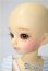 画像4: 幼SD/たんぽぽ　1st U-25-05-06-213-KD-ZU