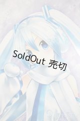 DD/雪ミク Reboot A-25-05-07-1096-TN-ZU
