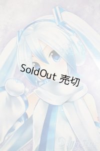 DD/雪ミク Reboot A-25-05-07-1096-TN-ZU