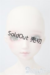 DearSD/フルチョイスF-59　オーダーメイク　ヘッド U-25-05-13-216-KD-ZU
