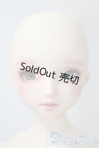 DearSD/フルチョイスF-59　オーダーメイク　ヘッド U-25-05-13-216-KD-ZU
