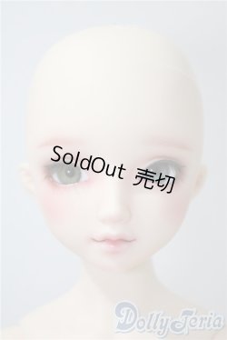 画像1: DearSD/フルチョイスF-59　オーダーメイク　ヘッド U-25-05-13-216-KD-ZU