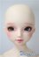 画像1: DearSD/フルチョイスF-59　オーダーメイク　ヘッド U-25-05-13-216-KD-ZU (1)