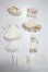 画像4: azone/ショコラーラ sugar cups sugar sugar party 2021開催記念 A-25-05-07-1086-TN-ZU (4)