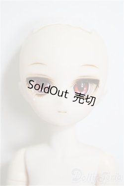 画像2: paraboxカスタムヘッド/ボディ/ A-25-12-03-220-TN-ZA