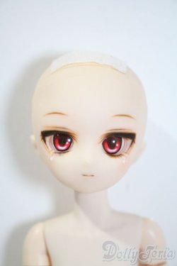 画像3: paraboxカスタムヘッド/ボディ A-25-05-07-1085-TN-ZU