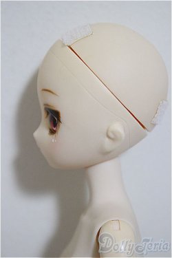 画像5: paraboxカスタムヘッド/ボディ/ A-25-12-03-220-TN-ZA